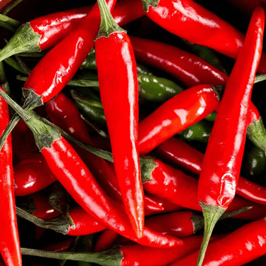 Malagueta Pepper Seeds - The Pepper Pantry (Formerly Marie Sharp's)